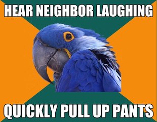 Paranoid Parrot