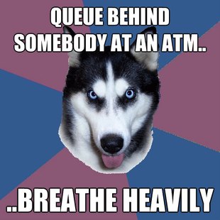 Creeper Canine