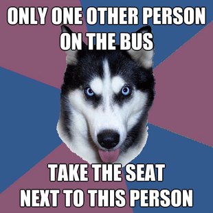 Creeper Canine