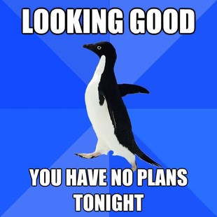 Socially Awkward Penguin