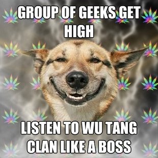 Stoner Dog