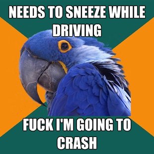 Paranoid Parrot