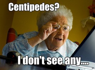Grandma finds the Internet