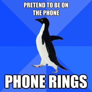 Socially Awkward Penguin