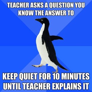 Socially Awkward Penguin