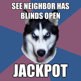 Creeper Canine