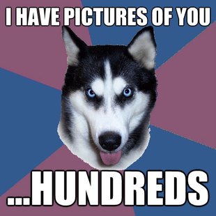 Creeper Canine