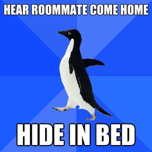 Socially Awkward Penguin