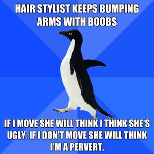 Socially Awkward Penguin