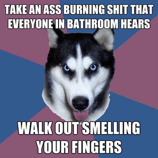 Creeper Canine