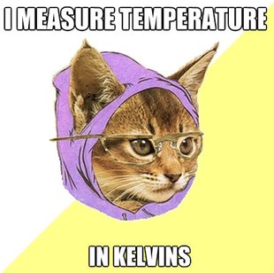 Hipster Kitty