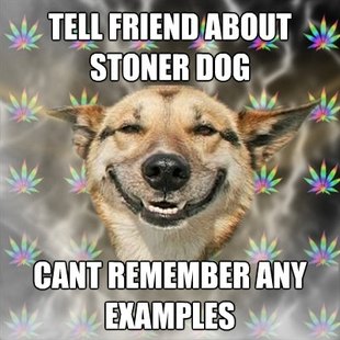 Stoner Dog
