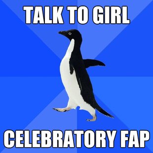 Socially Awkward Penguin