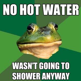 Foul Bachelor Frog