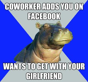 Skeptical Hippo