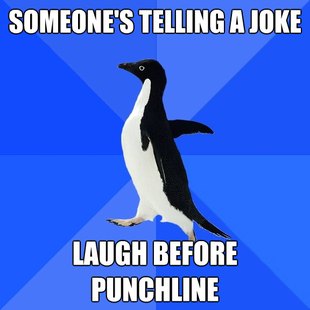 Socially Awkward Penguin