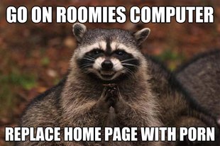 Evil Plotting Raccoon