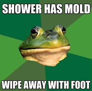 Foul Bachelor Frog