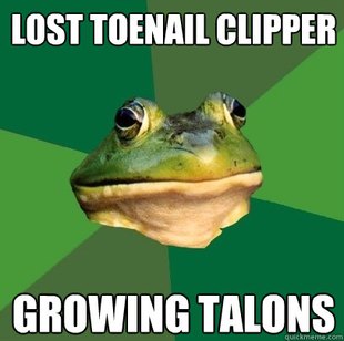 Foul Bachelor Frog