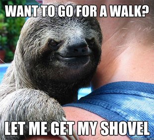 Suspiciously Evil Sloth