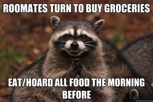 Evil Plotting Raccoon
