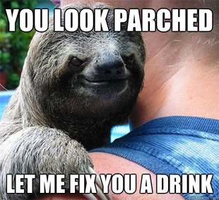 Suspiciously Evil Sloth