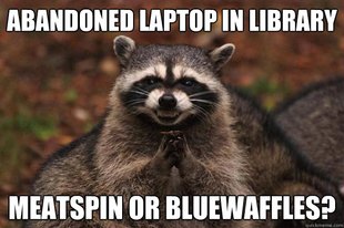 Evil Plotting Raccoon