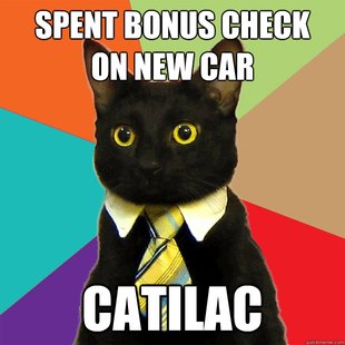 Business Cat
