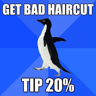 Socially Awkward Penguin