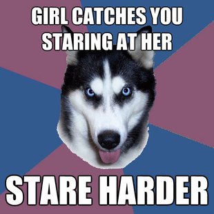 Creeper Canine