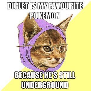 Hipster Kitty