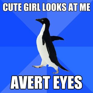 Socially Awkward Penguin