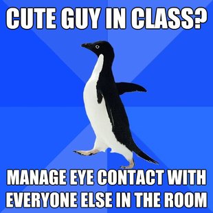 Socially Awkward Penguin