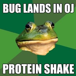 Foul Bachelor Frog