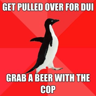 Socially Awesome Penguin