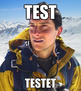 Bear Grylls