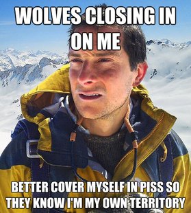 Bear Grylls