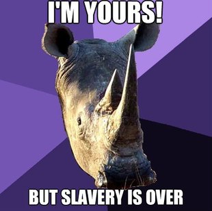 Sexually Oblivious Rhino