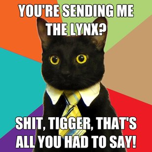Business Cat