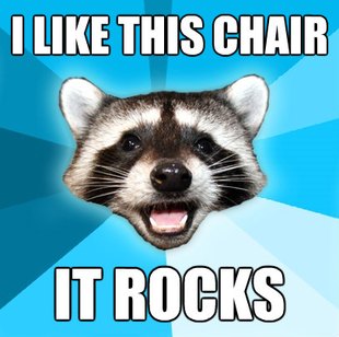 Lame Pun Coon