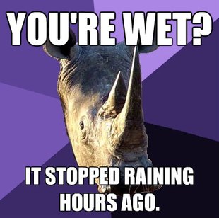 Sexually Oblivious Rhino