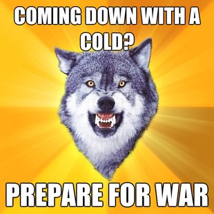 Courage Wolf