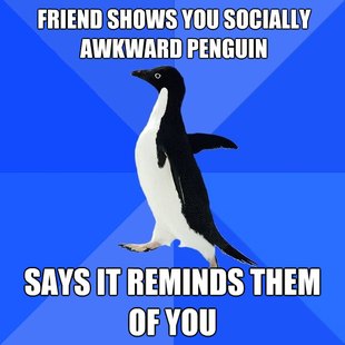 Socially Awkward Penguin