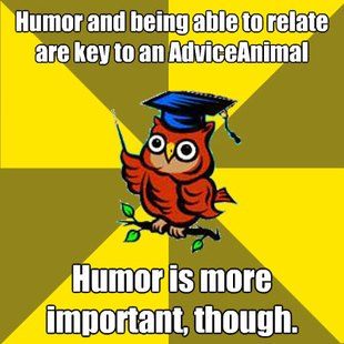 Observational Owl