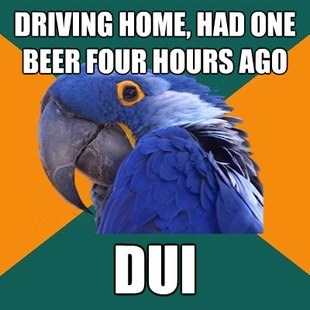 Paranoid Parrot