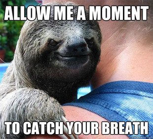 Suspiciously Evil Sloth