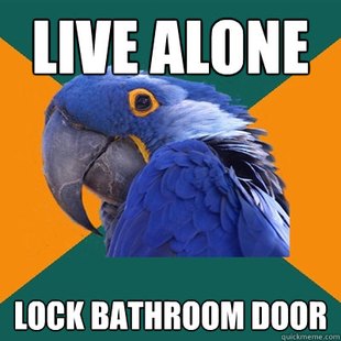 Paranoid Parrot