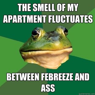 Foul Bachelor Frog