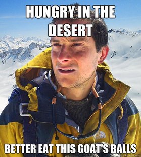 Bear Grylls