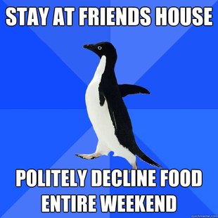 Socially Awkward Penguin